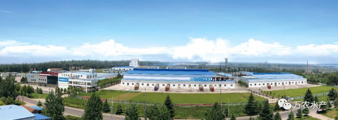 良之隆團隊攜客戶來訪萬農水產基地深入考察交流