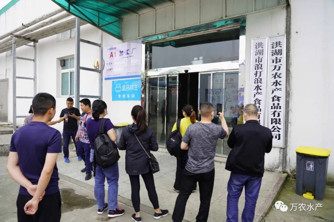 良之隆團隊攜客戶來訪萬農水產基地深入考察交流