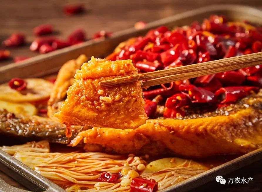 淡水魚價格持續上漲，深加工鮰魚產品優勢明顯