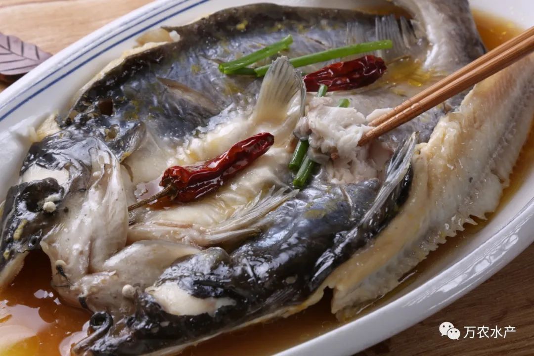 淡水魚價格持續上漲，深加工鮰魚產品優勢明顯