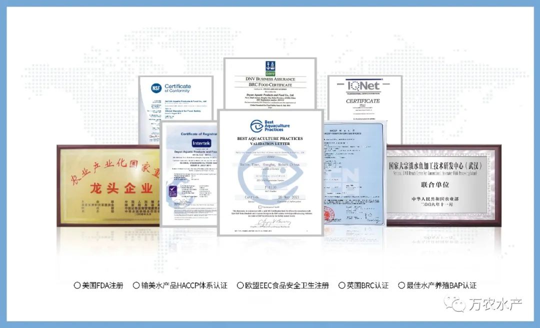 萬農水產新品亮相長沙湘菜節，鮰魚預制菜有望成為行業爆品