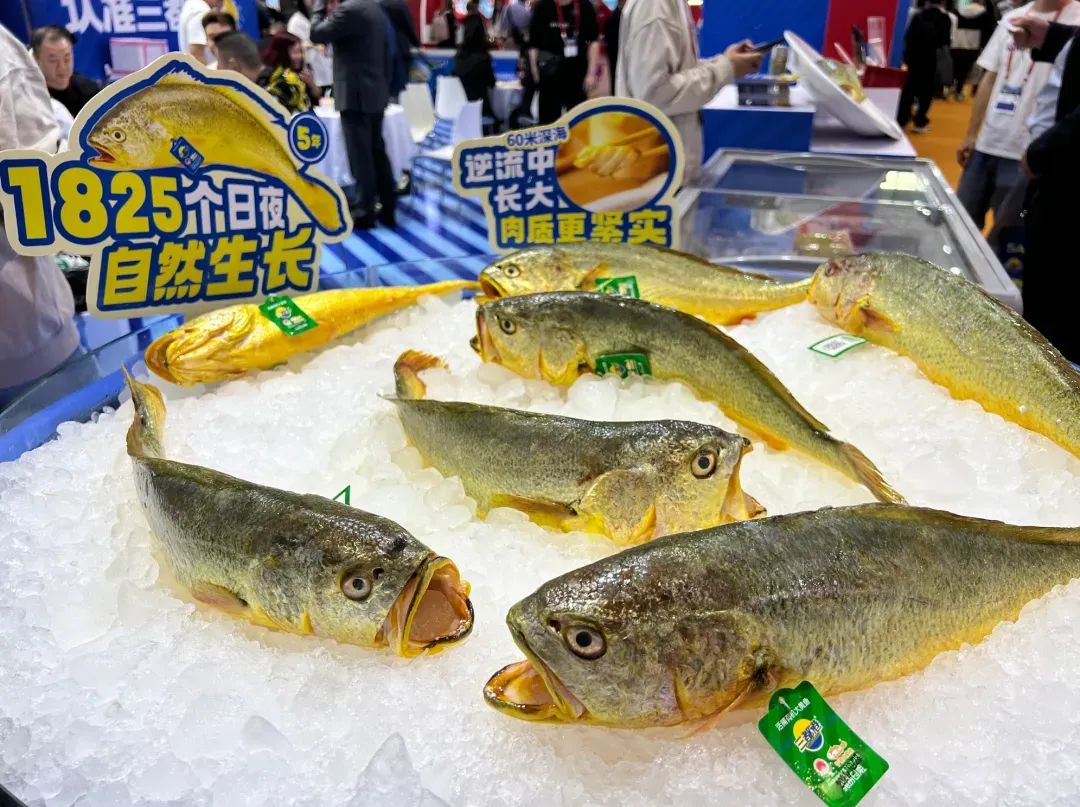 “漁”你有約，齊聚青島！水產行業的年度盛事